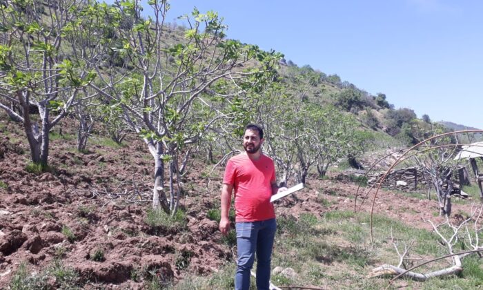 TEİAŞ, çiftçinin zararını tazmin ettirdi