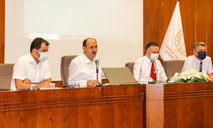 Tekin: “Akdeniz meyve sineğinde toplu mücadeleye ağırlık verilmeli”