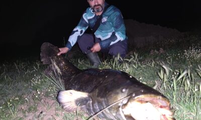Tekirdağ’da dev yayın balığı yakalandı