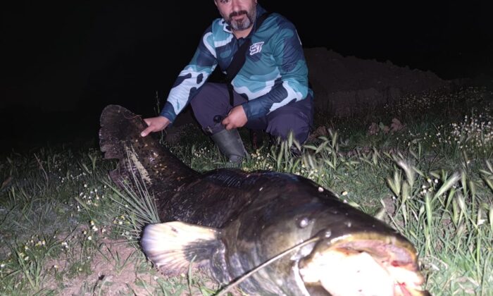 Tekirdağ’da dev yayın balığı yakalandı