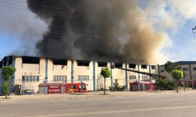 Tekstil fabrikası alevlere teslim oldu