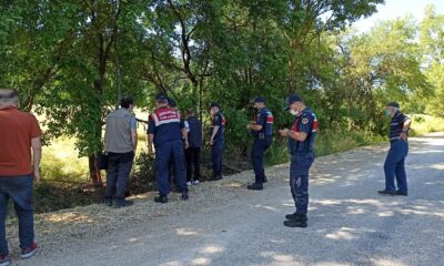 Tellere takılan ayı uyutularak kurtarıldı