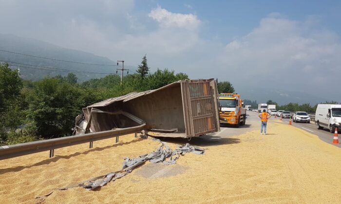 TEM Otoyolunda soya fasulyesi yüklü tır devrildi
