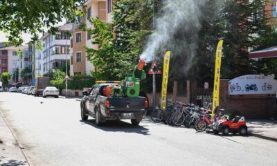 Tepebaşı’nda ilaçlama çalışmaları sürüyor