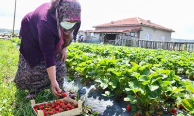 Tepebaşı’nda kadınlar emeğinin karşılığını alıyor