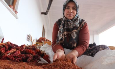 Tescilli biberde fidanlar toprakla buluştu