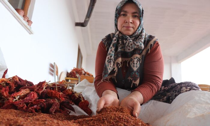 Tescilli biberde fidanlar toprakla buluştu