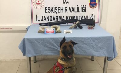 Tetik ve Alfa’dan uyuşturucu kaçmıyor