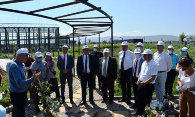 Tıbbî ve Aromatik Bitkiler Bahçesi’nde ilk hasat yapıldı