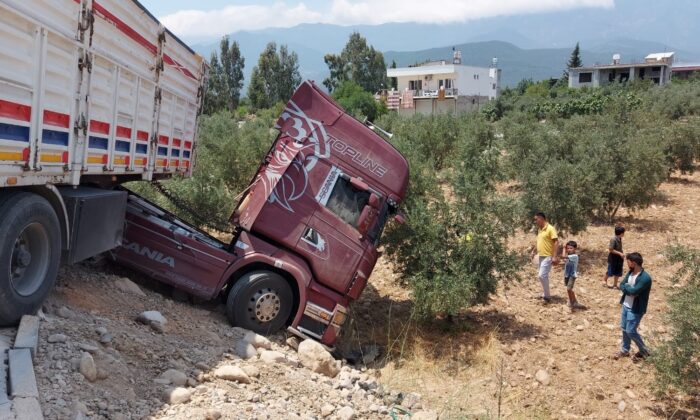 Tır zeytin bahçesine girdi