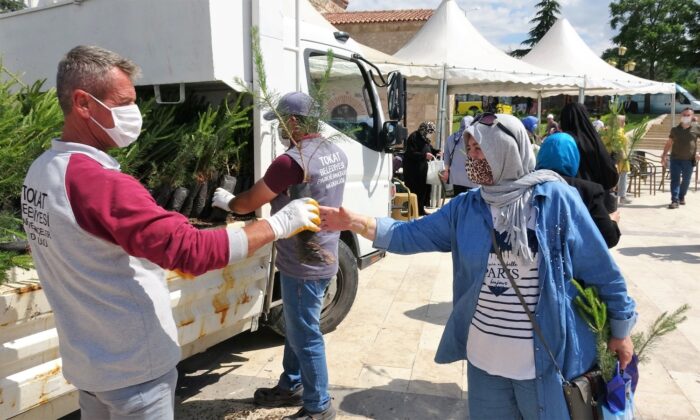 Tokat’ta 10 bin fidan dağıtıldı