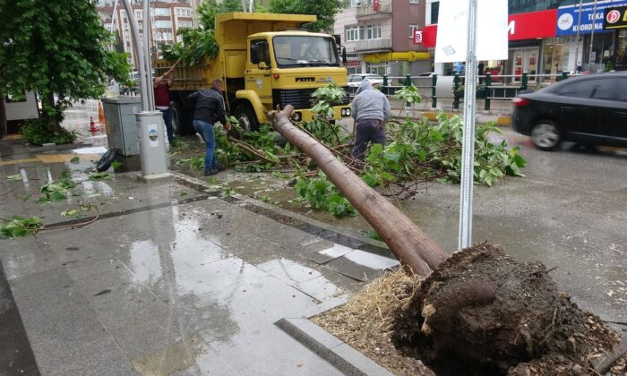 Tokat’ta şiddetli rüzgar çatıları uçurdu, ağaçları devirdi