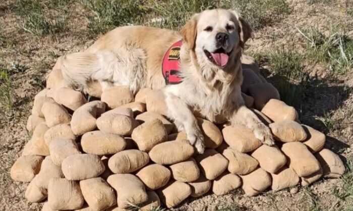 Toprağa gömülü 233,5 kilo eroin ele geçirildi