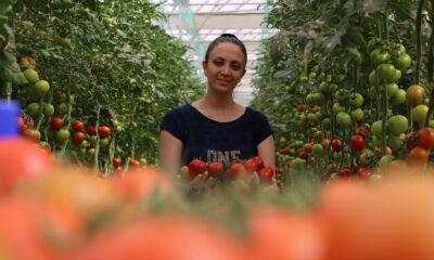 Topraksız tarım hem kadınlara iş kapısı oldu, hem de yılın 10 ayında üretim yapılmaya başlandı