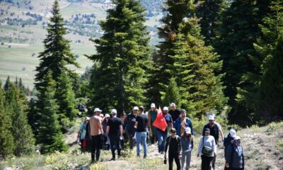 Toroslarda doğa yürüyüşü