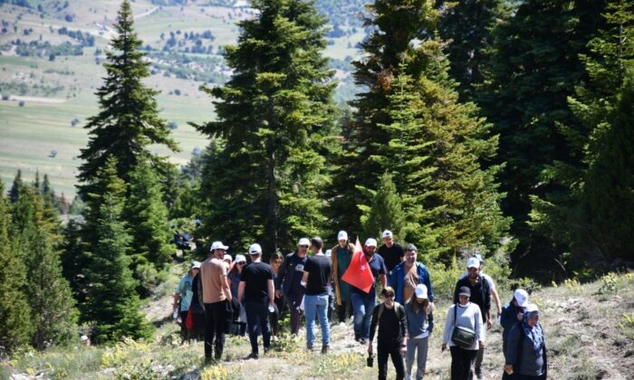 Toroslarda doğa yürüyüşü