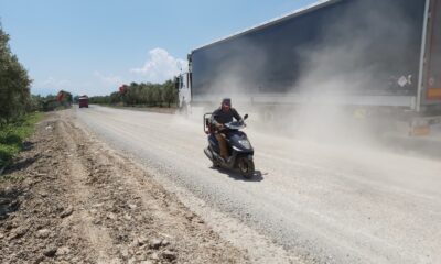 Toz zeytinleri mahvediyor