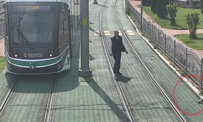 Tramvay yolunda mahsur kalan kaplumbağanın yardımına vatman koştu