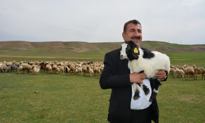 TÜDKİYEB Genel Başkanı Çelik: “Kurbanlık satışlarında kurallara uymayanlara cezalar artırıldı”