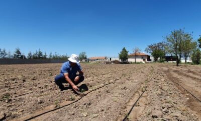 TÜDKİYEB Genel Başkanı Çelik’ten Toprak Bayramı’yla ilgili açıklama