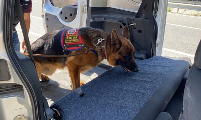Tüm araçlar tek tek çevrildi, her yer didik didik arandı
