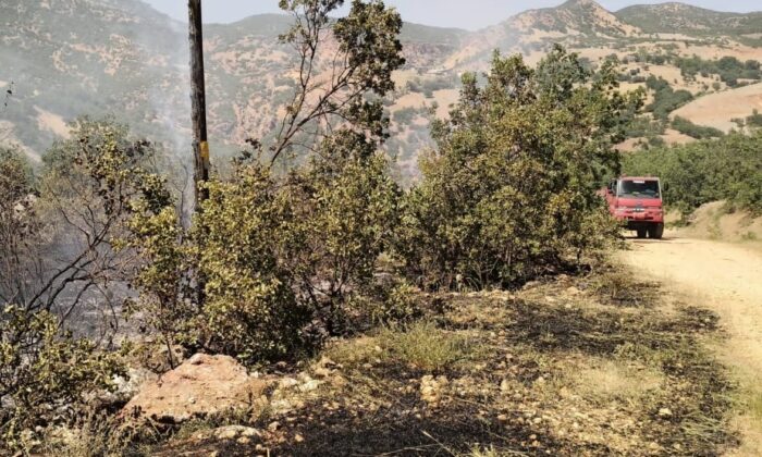 Tunceli’de ormanlık alanlardaki yangınlar söndürüldü