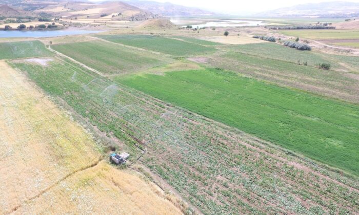 Tunceli’de sulu tarım ekonomiye 51 milyon TL katkı sağlayacak