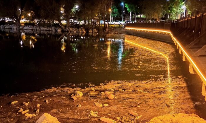 Turgut Özal Tabiat Parkı Gölü çöplere teslim oldu