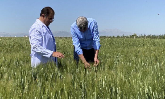 Türk yerli tohumu dünyaya açılıyor