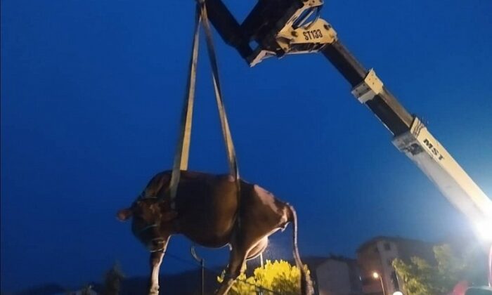 Türkeli’de sağanak yağış hasara yol açtı