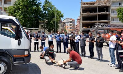 Türkeli’ye araç takviyesi