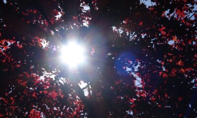 Türkiye son 50 yılın en sıcak mevsimini yaşıyor