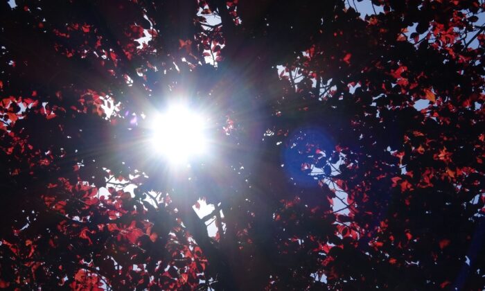 Türkiye son 50 yılın en sıcak mevsimini yaşıyor