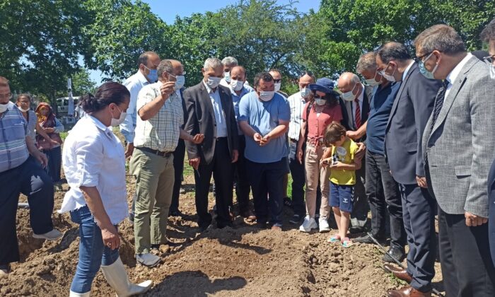 Türkiye’de tek özel izinle ekilen il olan Samsun’da üreticilere salep yumrusu dağıtıldı