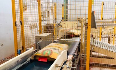 Türkiye’den yerli ve milli tohum atağı