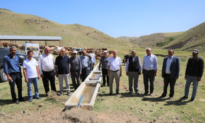 Tuşba Belediyesinden bölge hayvancılığına büyük destek