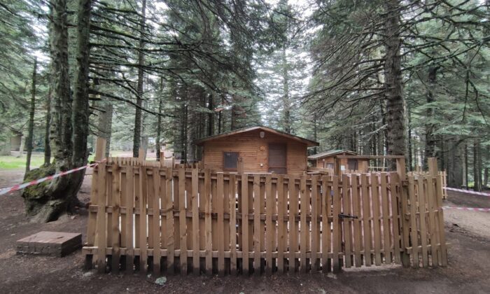 Uludağ’da sezon açıldı, orman evleri büyük rağbet görüyor