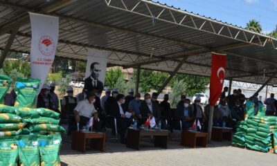 Üreticilere silajlık mısır tohumu dağıtıldı