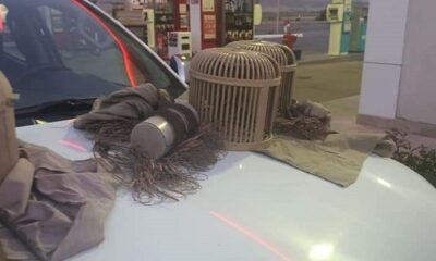 Usulsüz avlanmaları pahalıya patladı