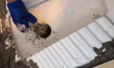 Uyuşturucuyu tuvalet deliğine saklamışlar