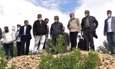 Vali Atik, kekikçilerin taş ocağı sorununu çözdü