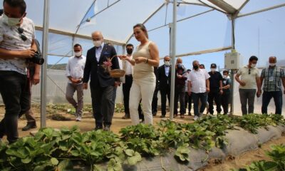 Vali Köşger Efes Tarlası Yaşam Köyünde