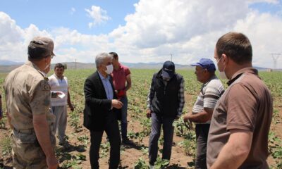 Vali Makas, çiftçileri tarlada ziyaret etti