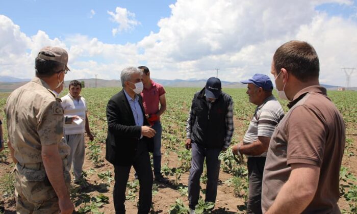 Vali Makas, çiftçileri tarlada ziyaret etti