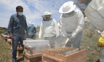 Vali profesyonel arıcılara taş çıkarttı