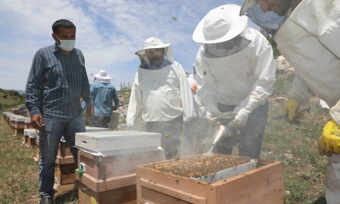 Vali profesyonel arıcılara taş çıkarttı
