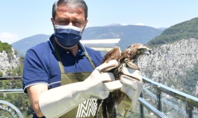 Vali Şıldak Kazdağları’nda incelemelerde bulundu