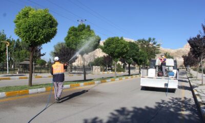 Van Büyükşehir Belediyesinden ilaçlama çalışmaları