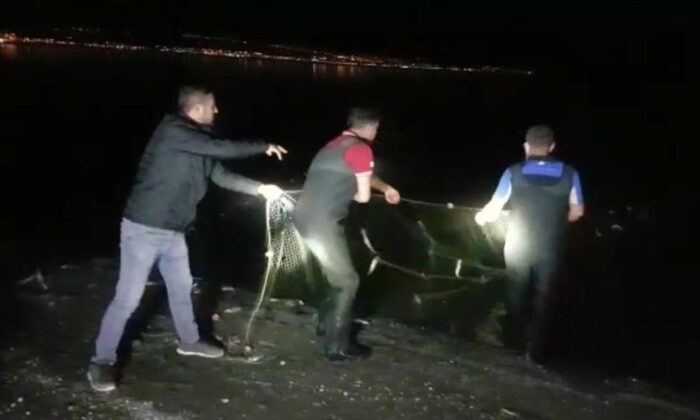 Van Gölü’nde 2 ton 350 kilogram inci kefali ele geçirildi