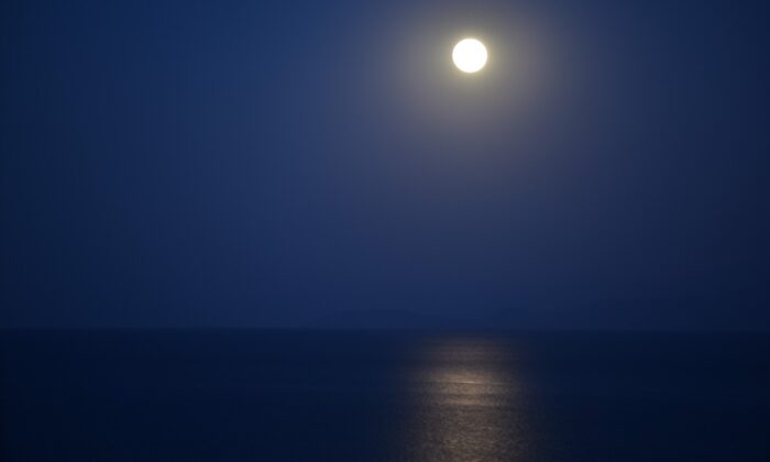 Van Gölü’ndeki yakamoz hayran bıraktı